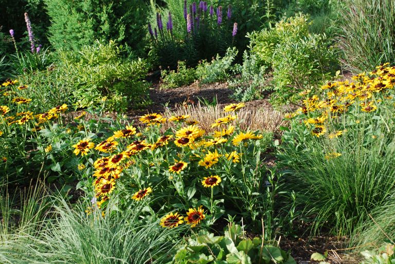 Bird Garden