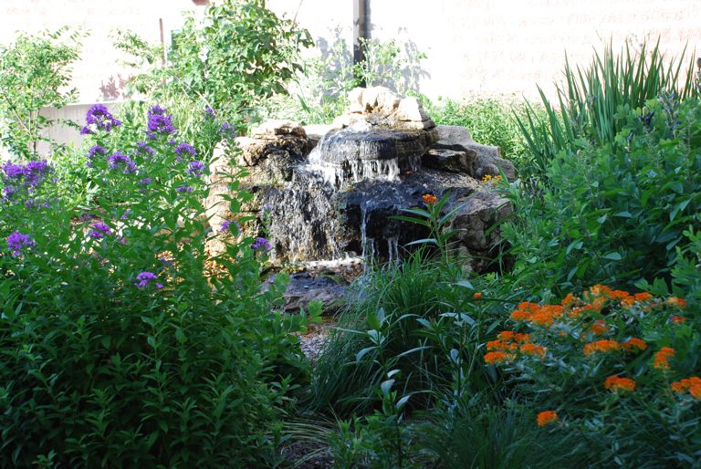 Bird Garden