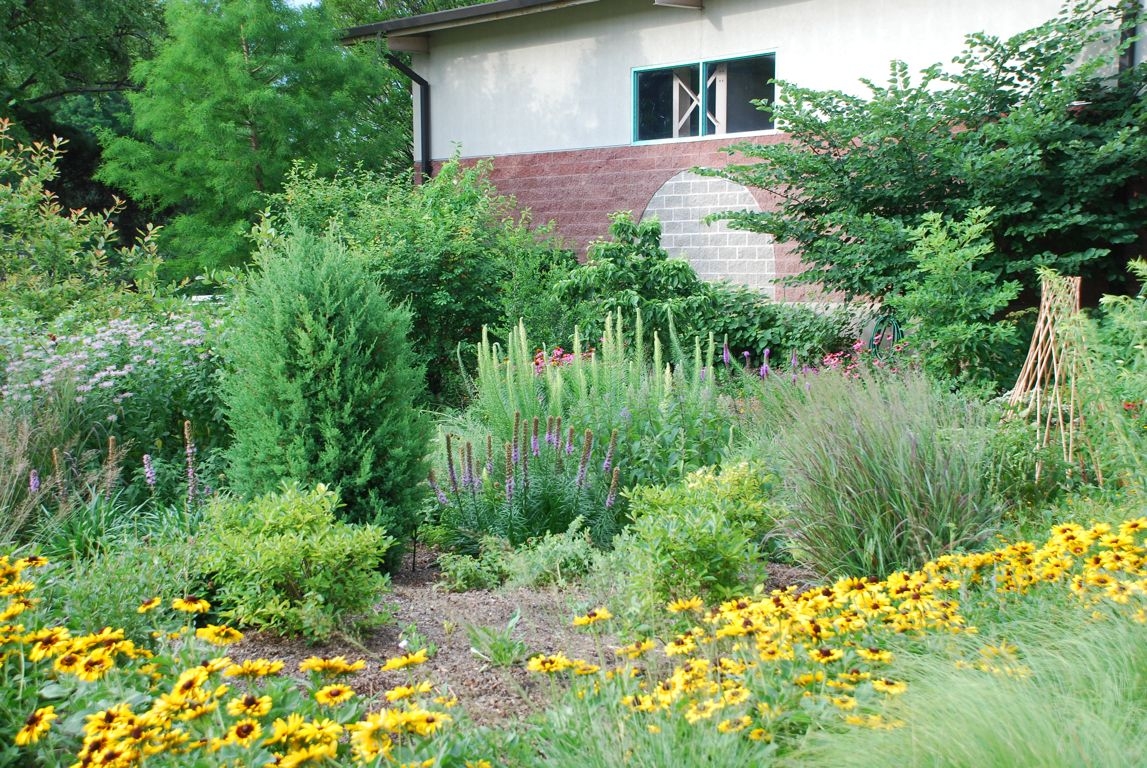 Bird Garden