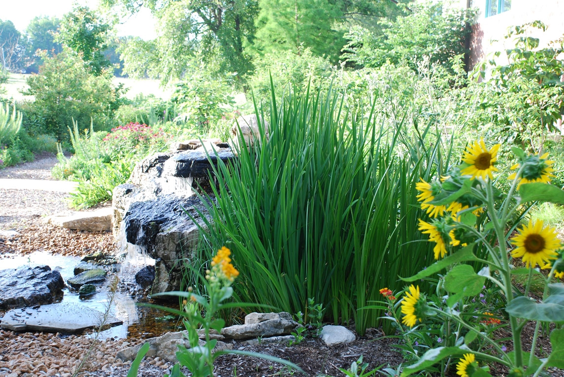 Bird Garden