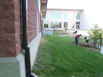 Before photo Bird Garden