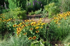 Bird Garden