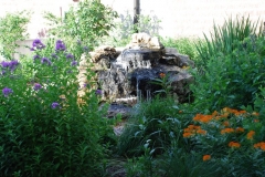 Bird Garden