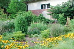 Bird Garden