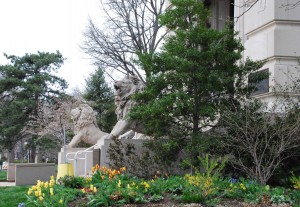UCityHall 2015 - 1