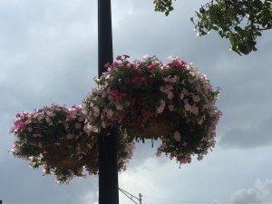 Olivebaskets