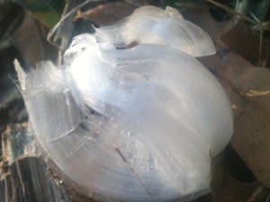 Frost Flowers