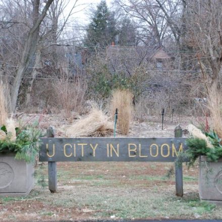 U City in Bloom nursery