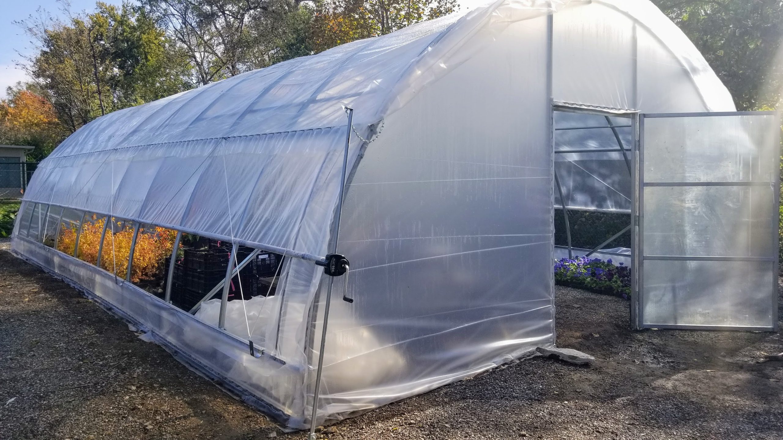 Hoop house 3 (2) U City In Bloom