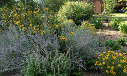 U City in Bloom Garden Tour and Plein Air Art Festival