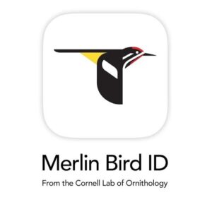 Merlin App from the Cornell Lab of Orinthology