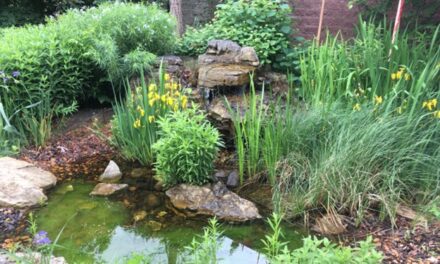 Bird Garden News