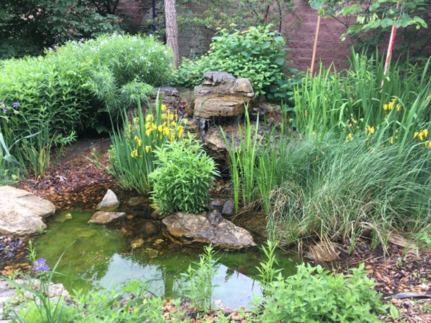 Bird Garden News