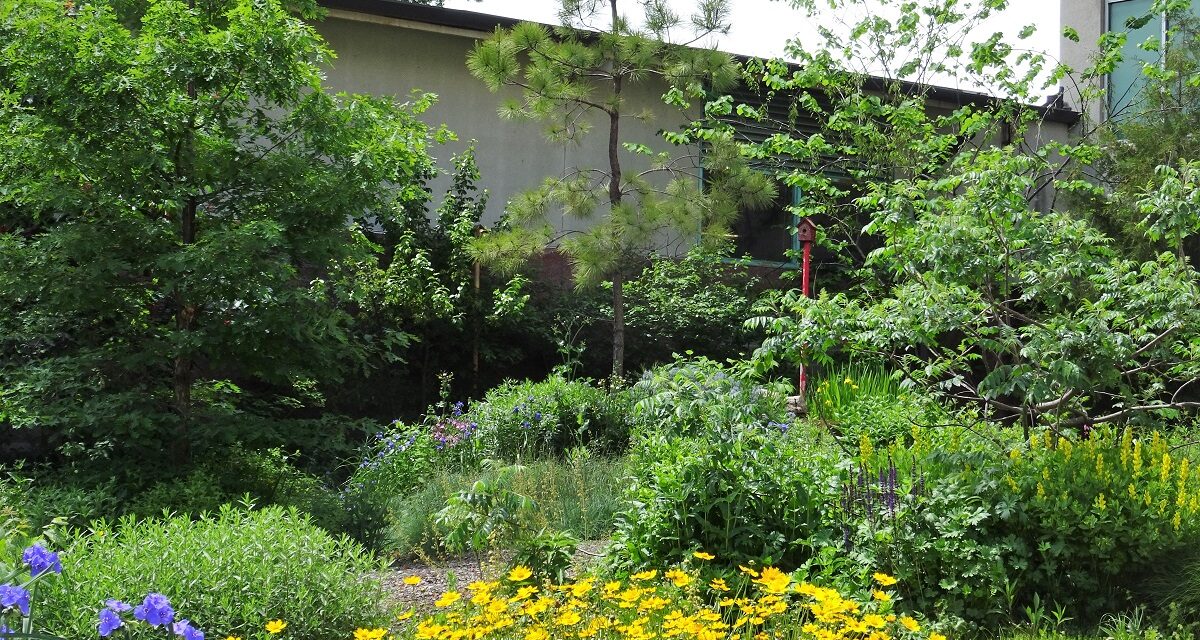 Visit the Bird Garden to Explore Native Plants
